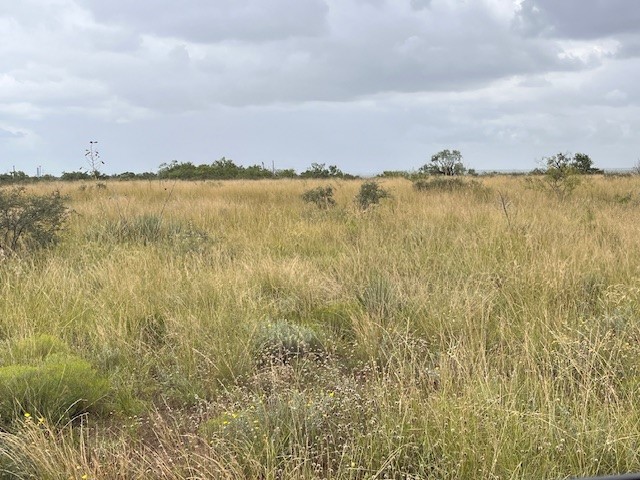 TBD3 County Road 405 Merkel TX 79536
