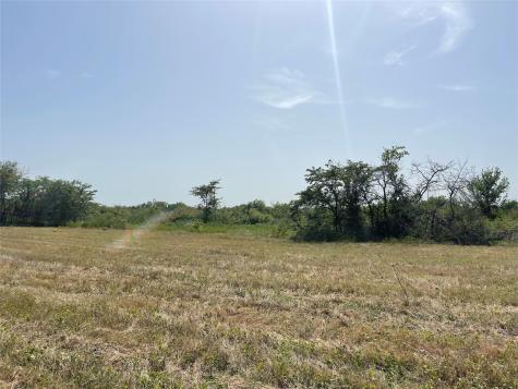 Tbd 20 Acres Fm 339 Mount Calm TX 76673