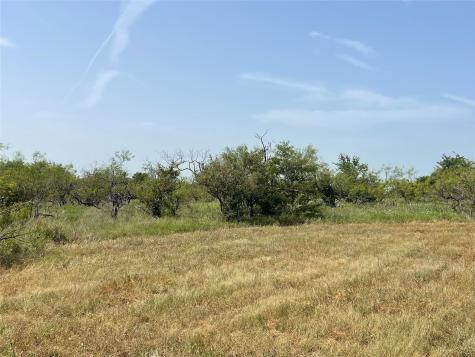 Tbd 20 Acres Fm 339 Mount Calm TX 76673