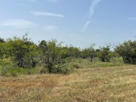 Tbd 20 Acres Fm 339 Mount Calm TX 76673