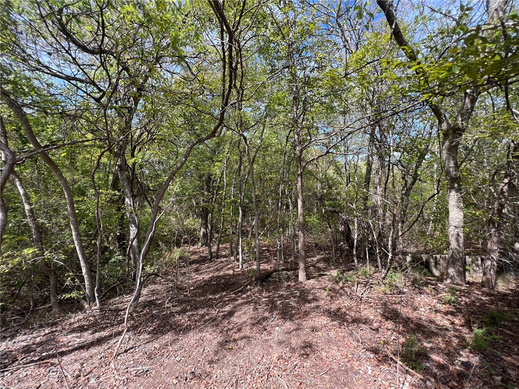 161 Suzanne Drive Moody TX 76657