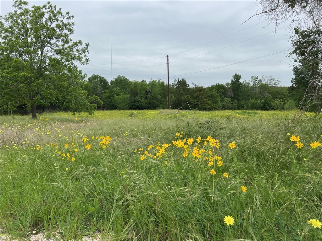 161 Suzanne Drive Moody TX 76657