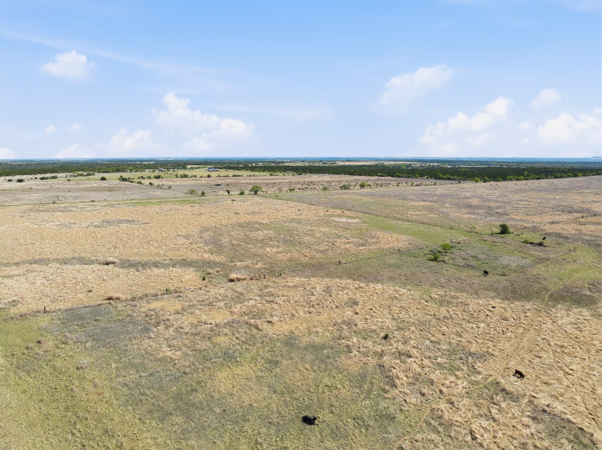 Tbd County Road 139 Gatesville TX 76528