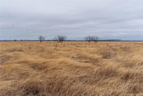T4 County Road 204 Bradshaw TX 79567