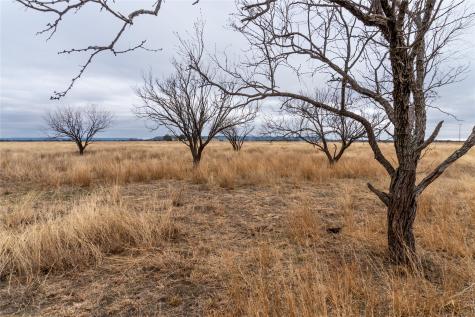 T4 County Road 204 Bradshaw TX 79567