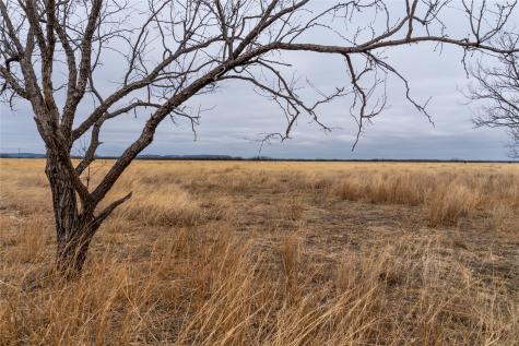 T4 County Road 204 Bradshaw TX 79567