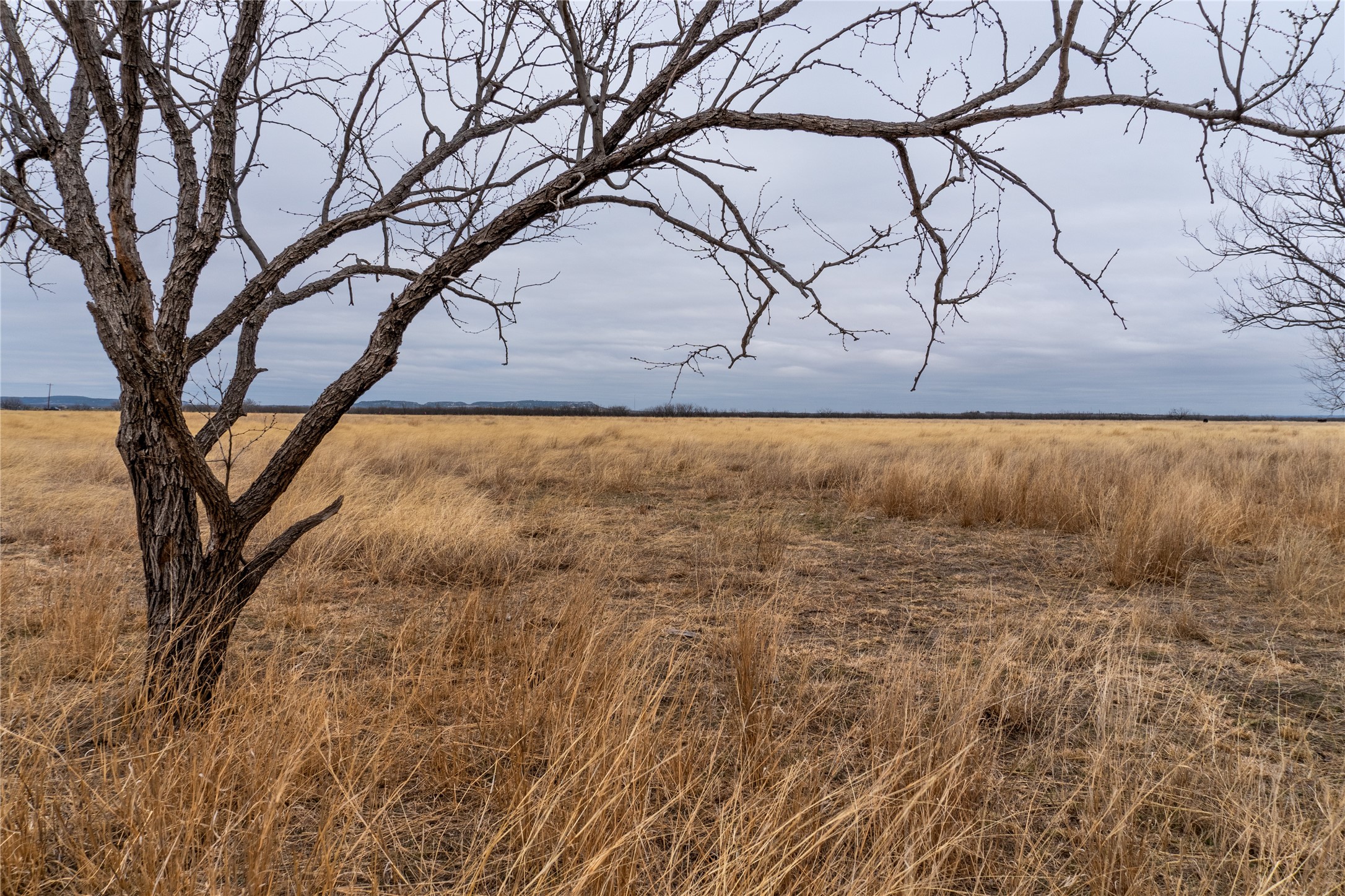 T4 County Road 204 Bradshaw TX 79567
