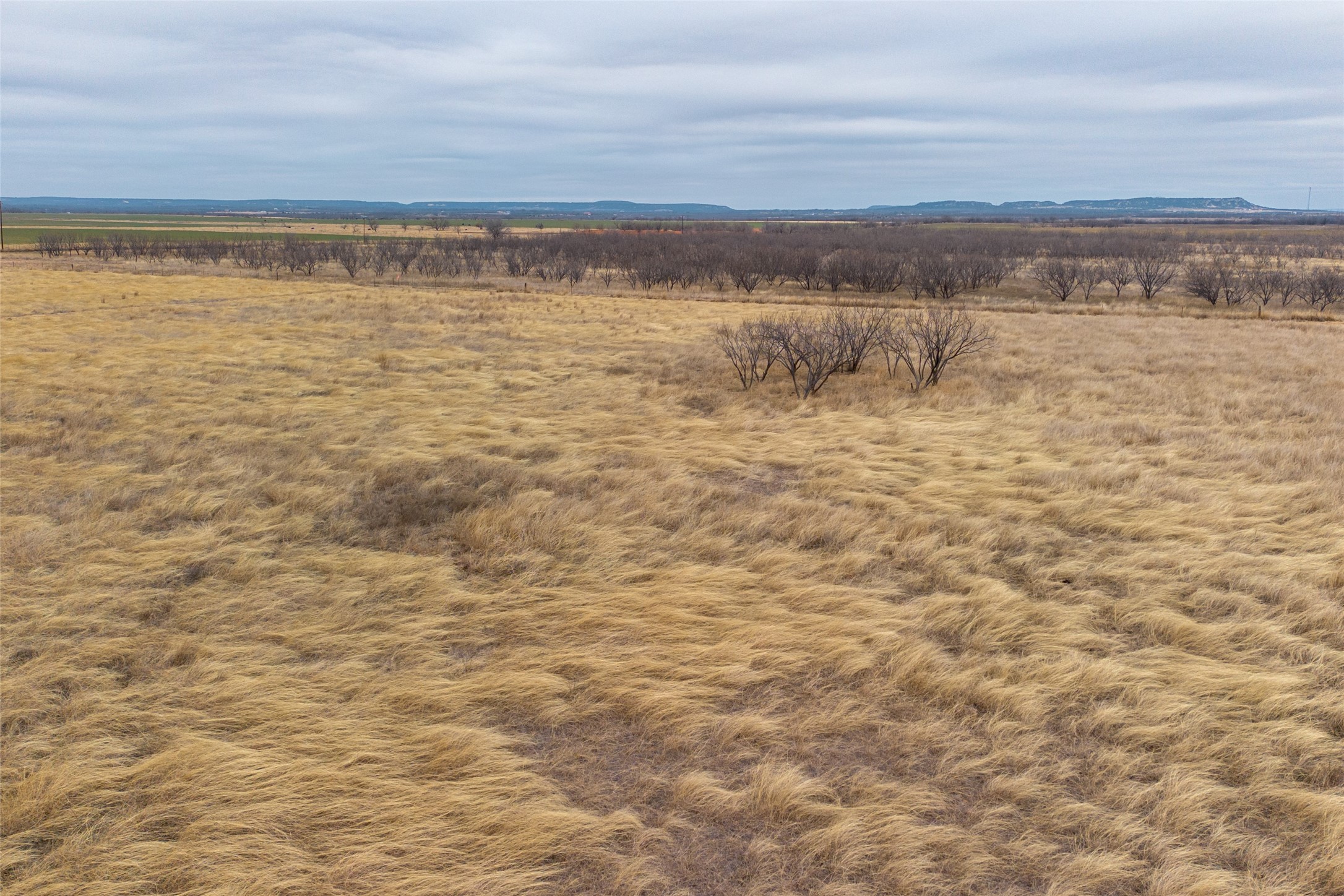 T4 County Road 204 Bradshaw TX 79567