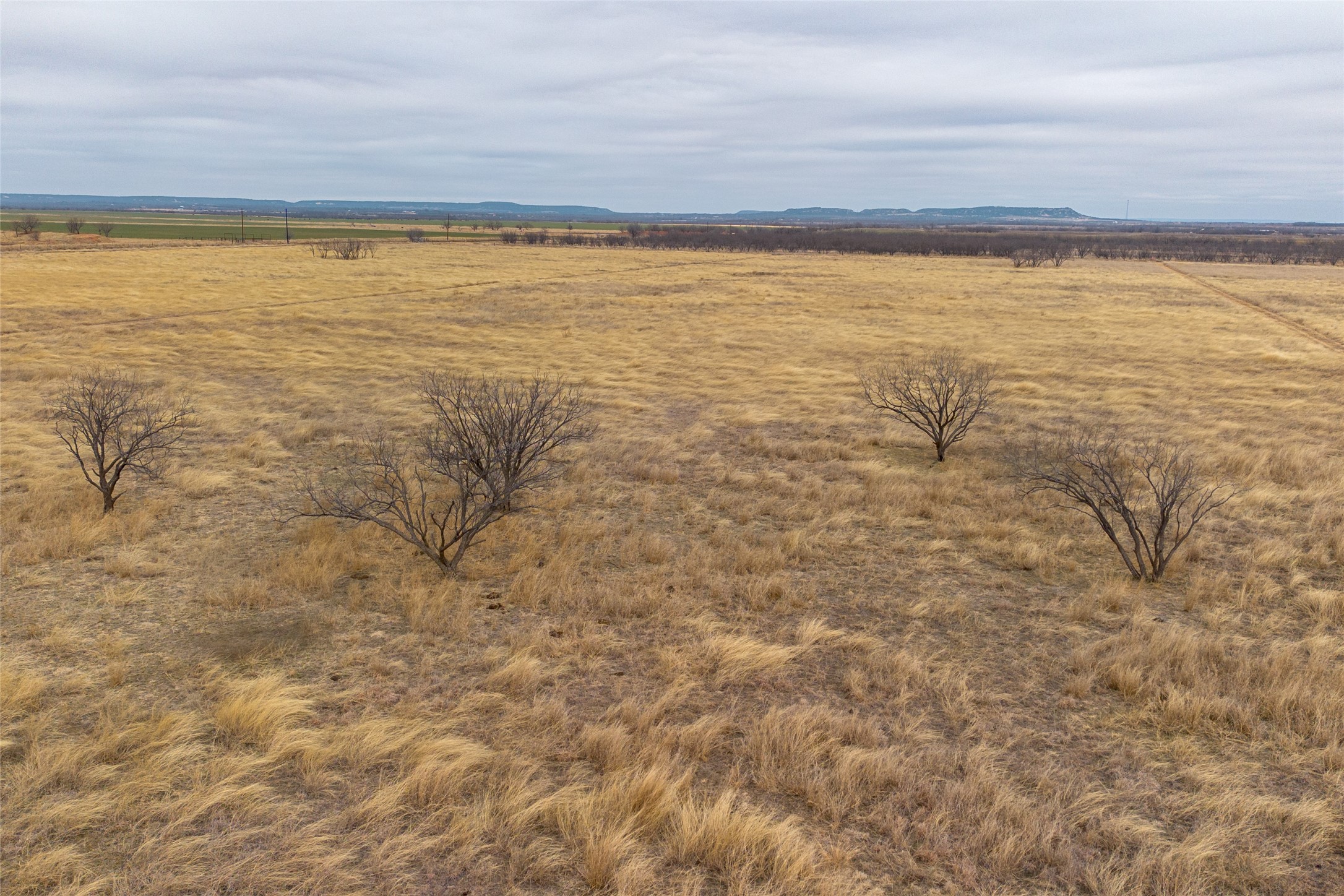 T4 County Road 204 Bradshaw TX 79567