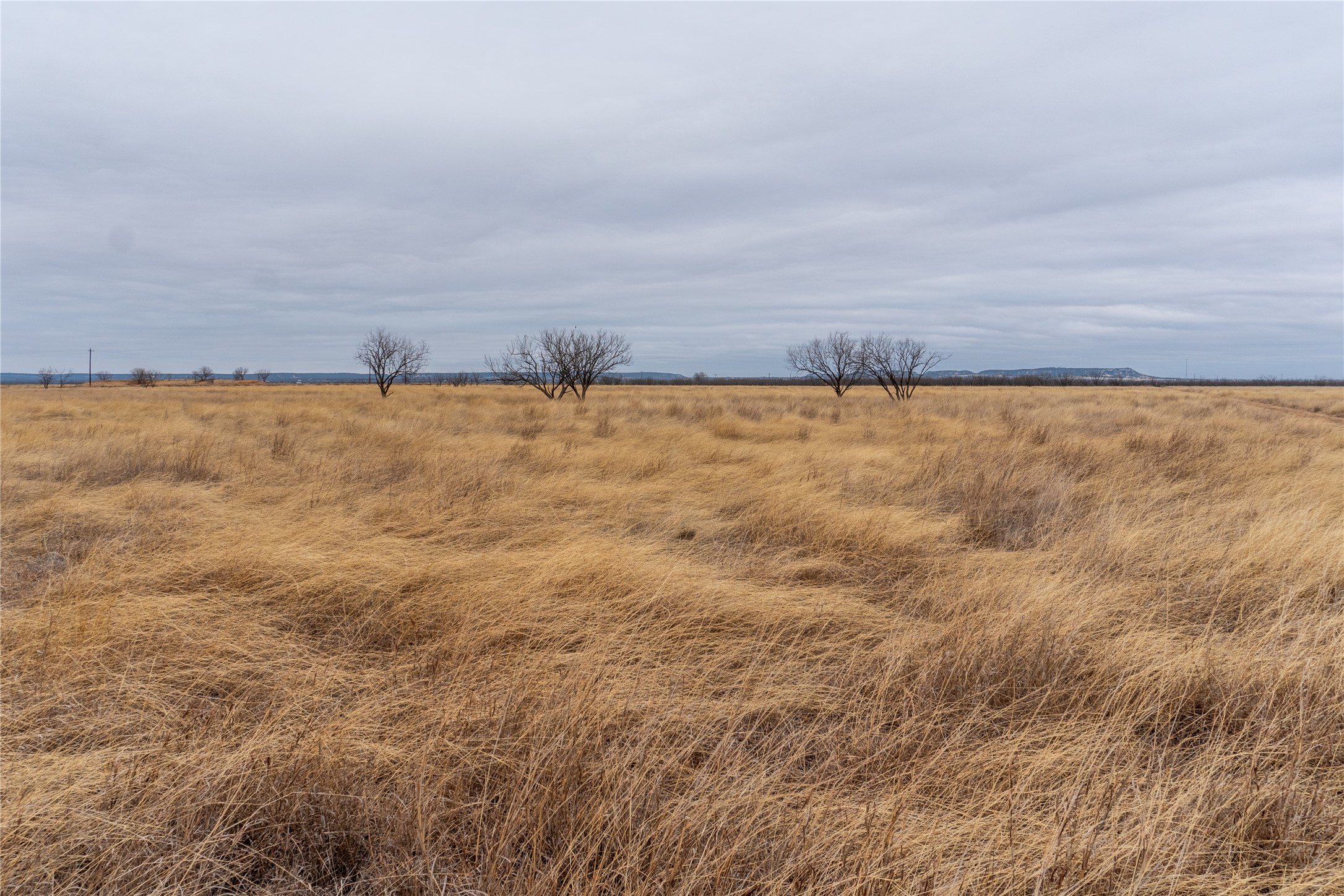 T4 County Road 204 Bradshaw TX 79567