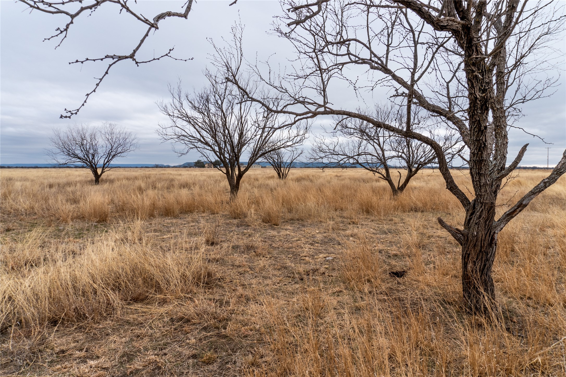 T4 County Road 204 Bradshaw TX 79567