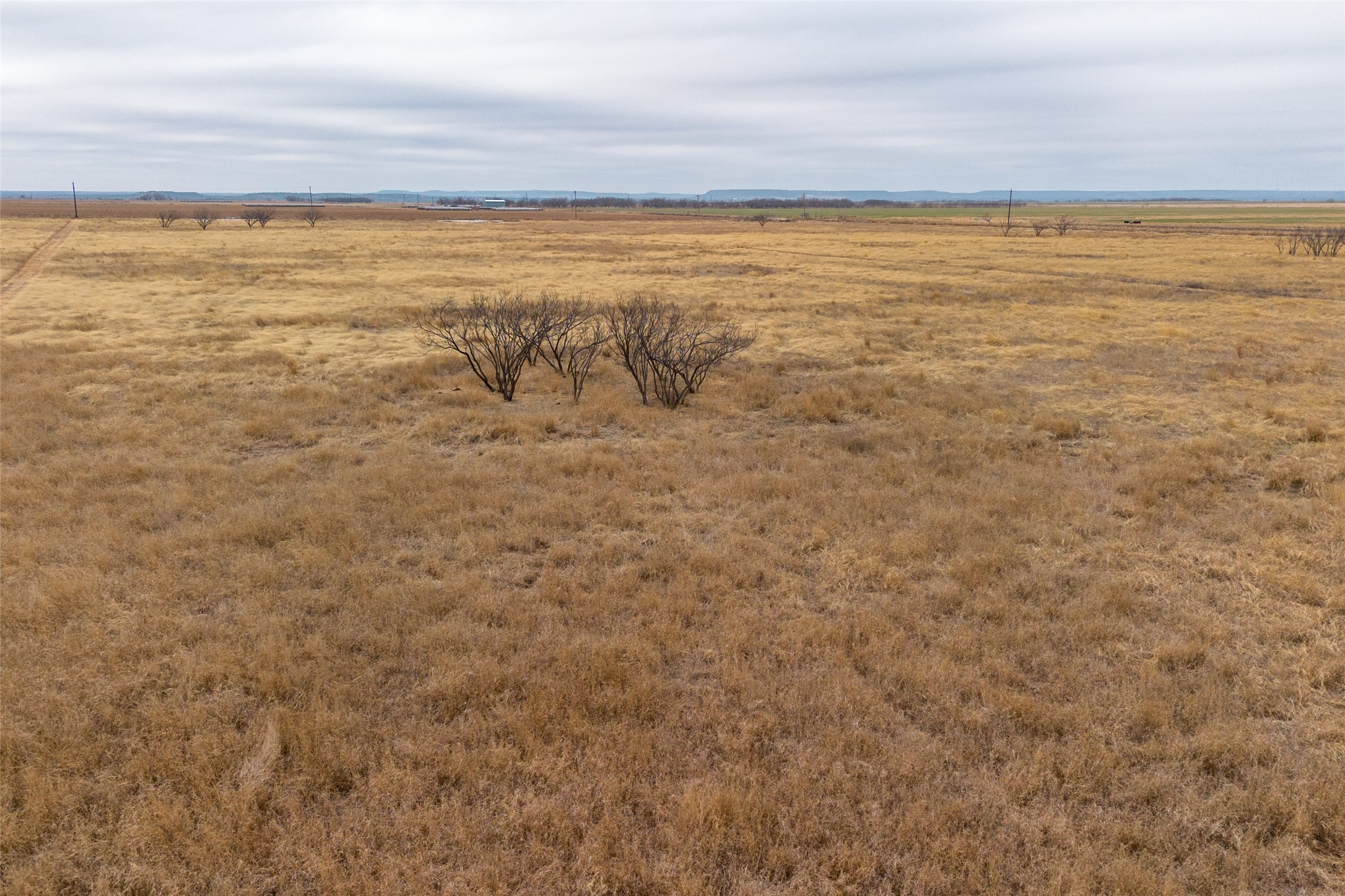T4 County Road 204 Bradshaw TX 79567