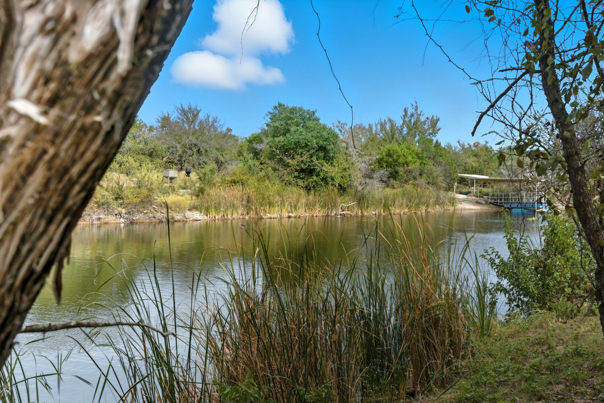 4636 Halsell Ranch Road Jacksboro TX 76458
