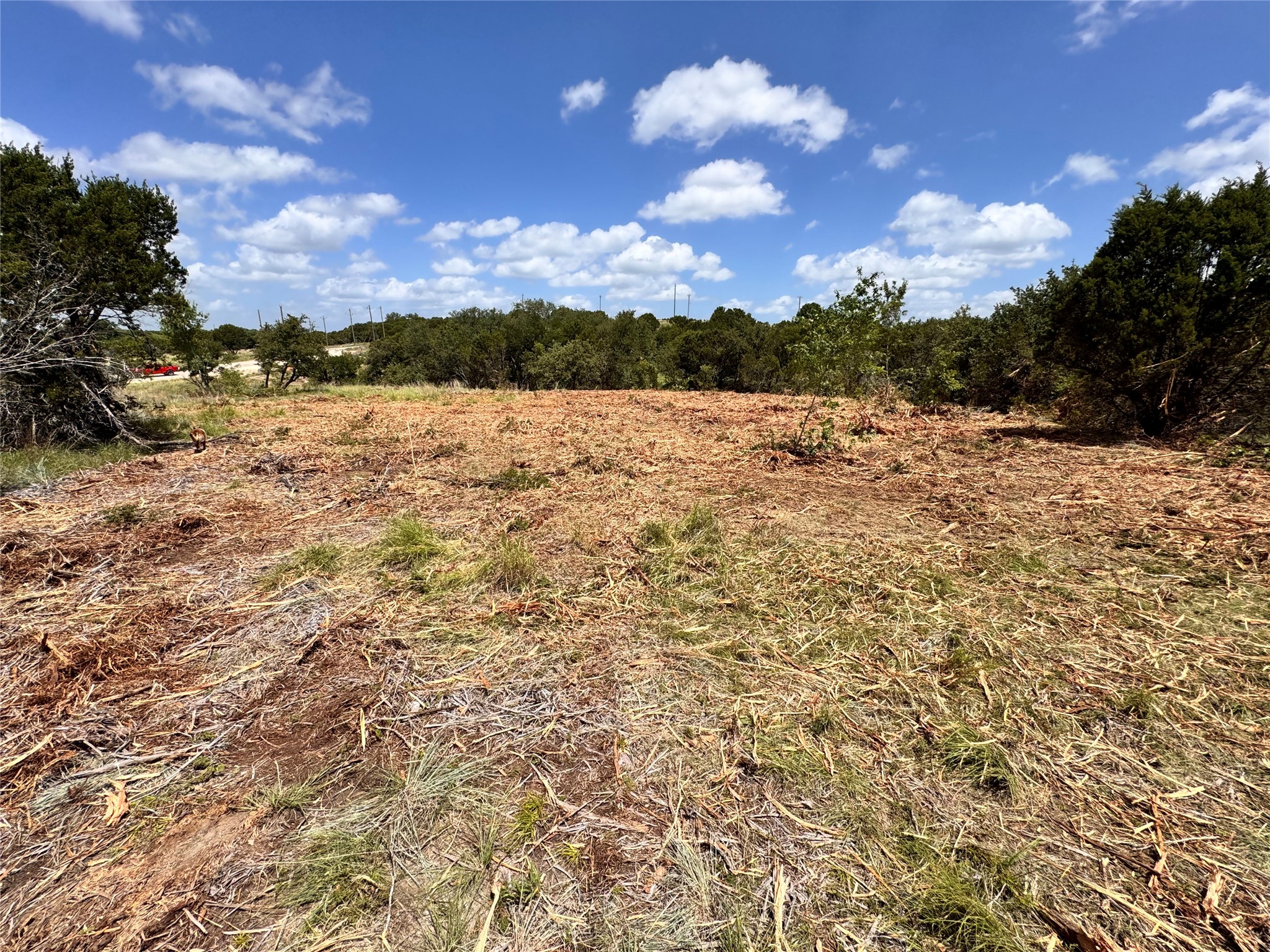 1209 County Road 407a Nemo TX 76070