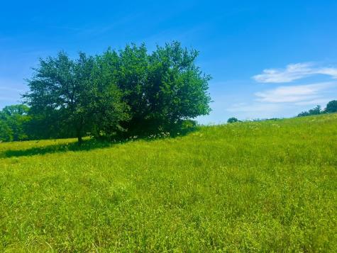 Lot 102 Arlow Road Poolville TX 76487