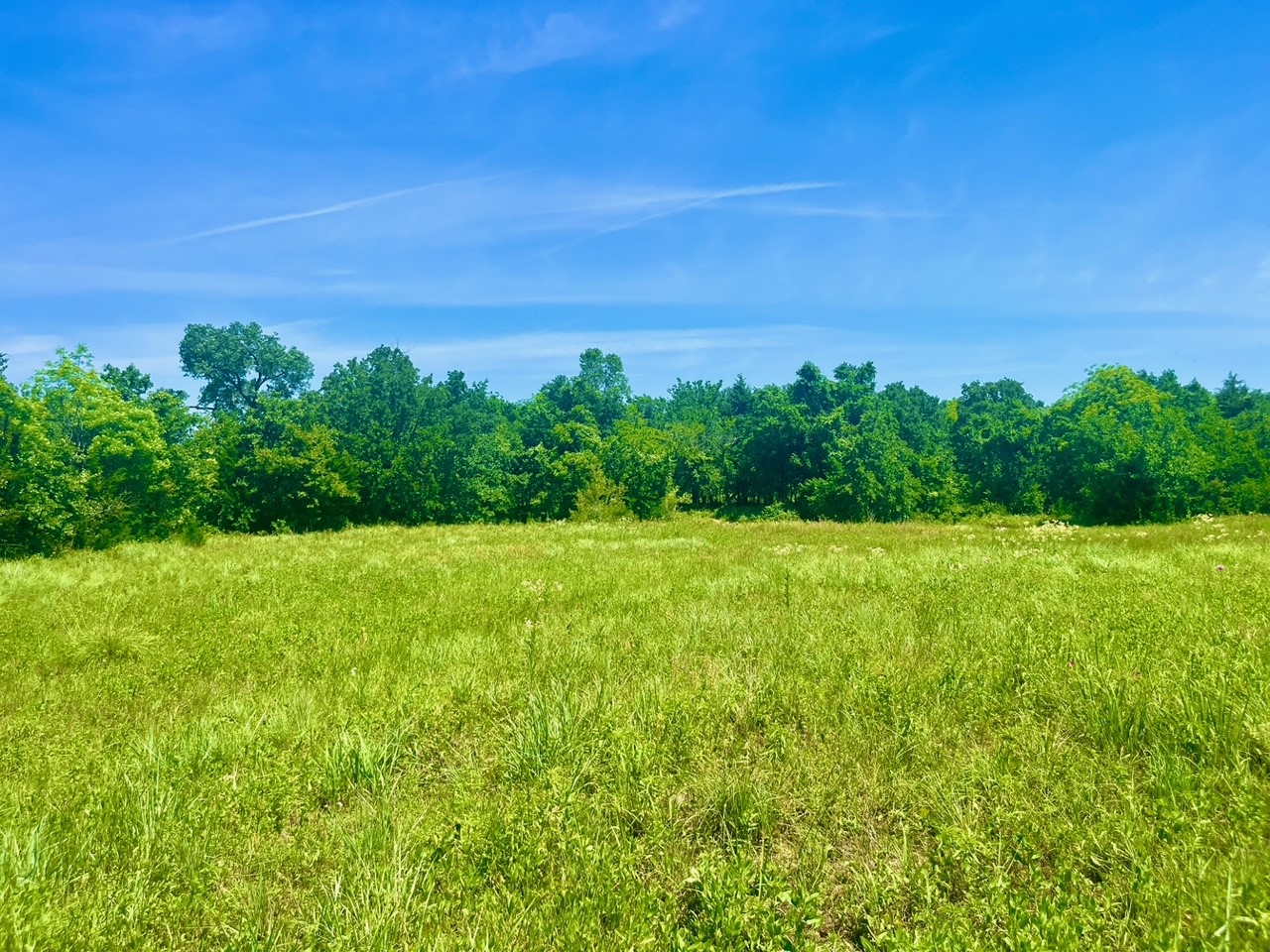 Lot 102 Arlow Road Poolville TX 76487