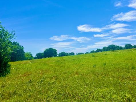 Lot 102 Arlow Road Poolville TX 76487