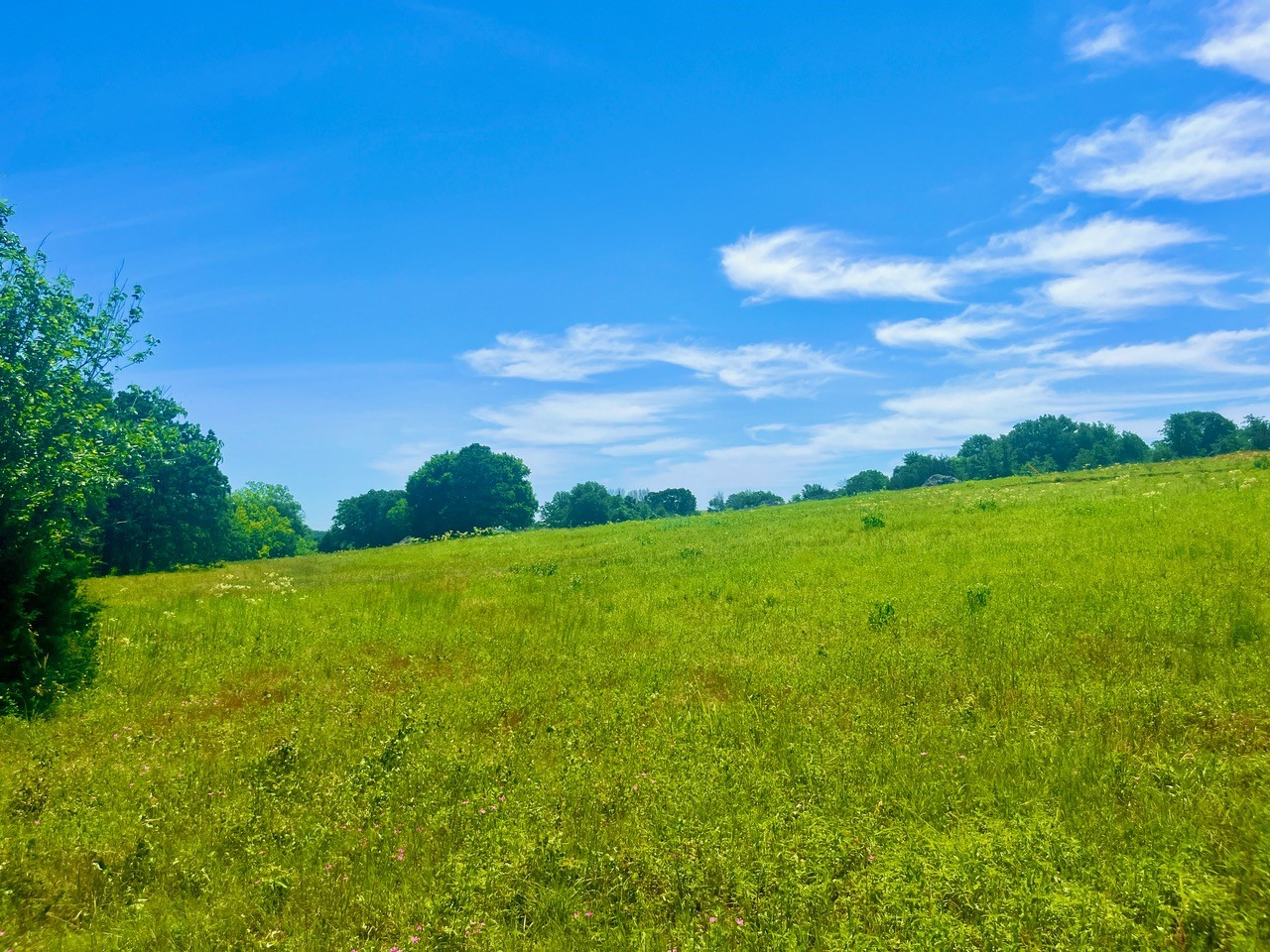 Lot 102 Arlow Road Poolville TX 76487