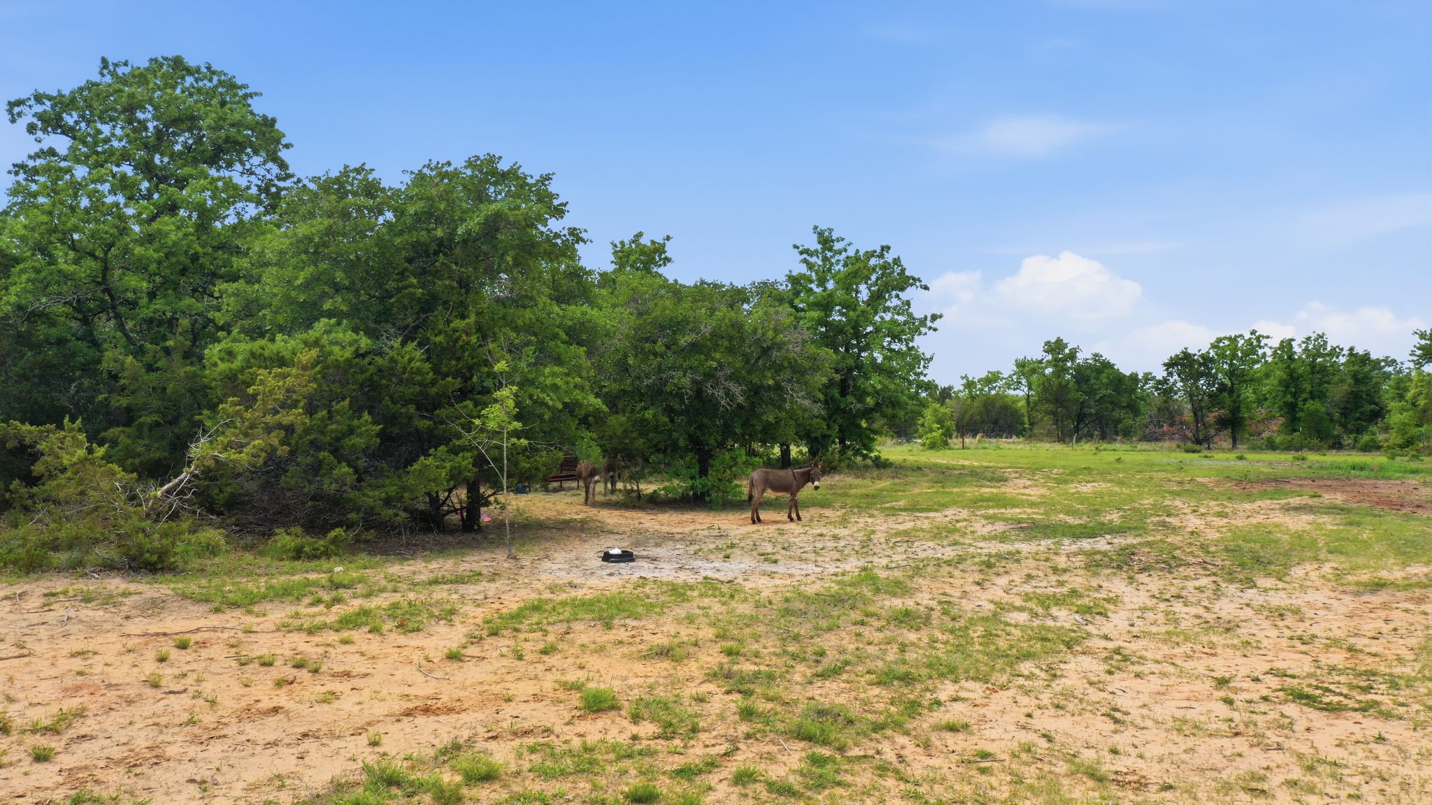 4955 County Road 188 Stephenville TX 76401