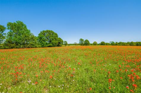 Lot 44 Paradise Cov Streetman TX 75859