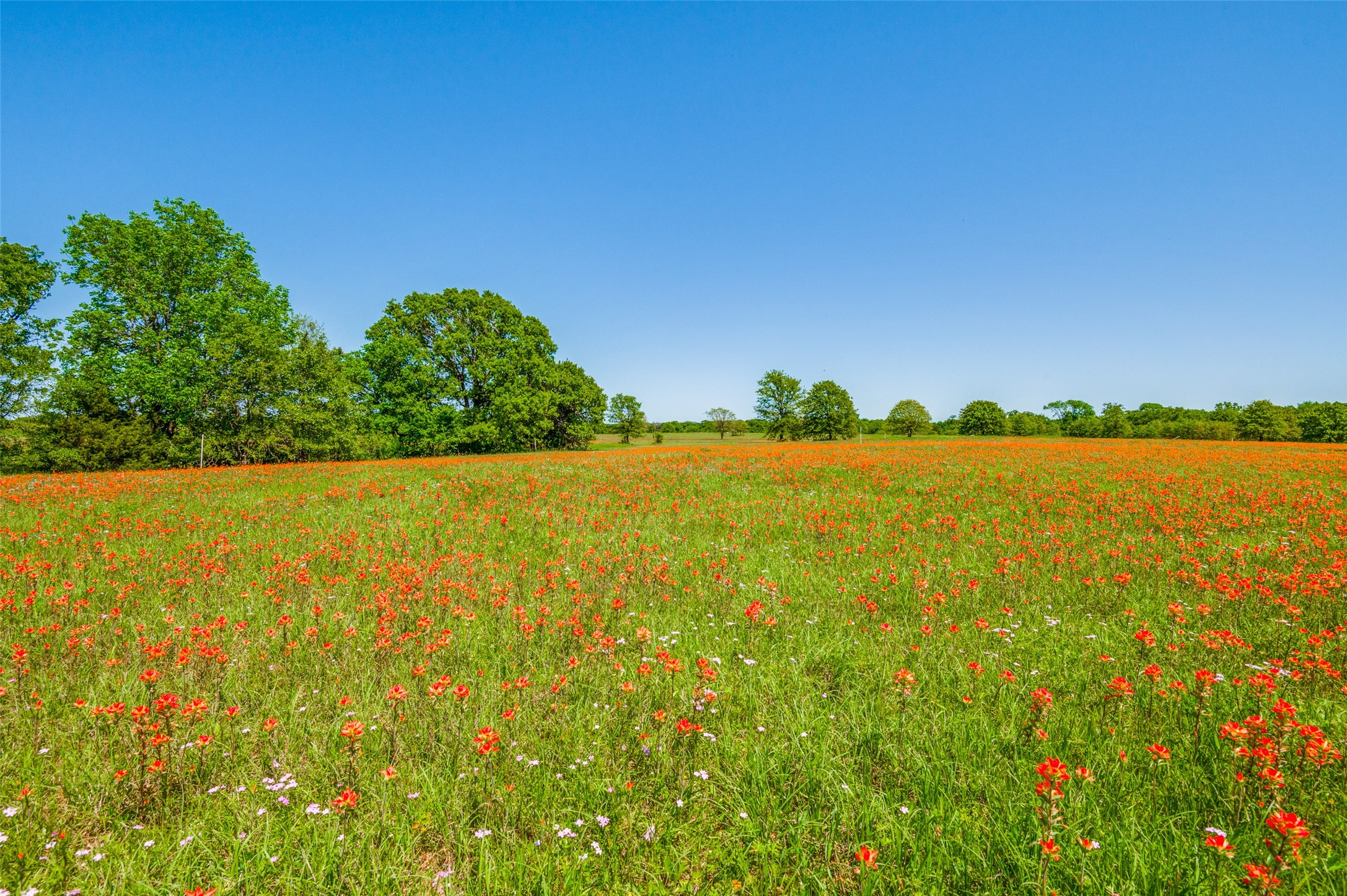 Lot 44 Paradise Cov Streetman TX 75859