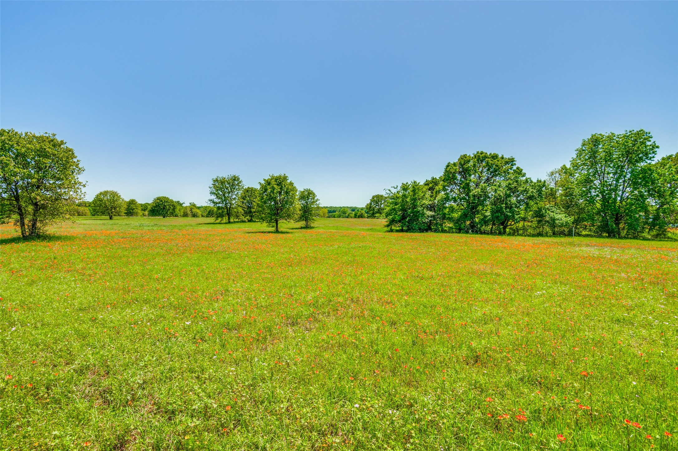Lot 44 Paradise Cov Streetman TX 75859