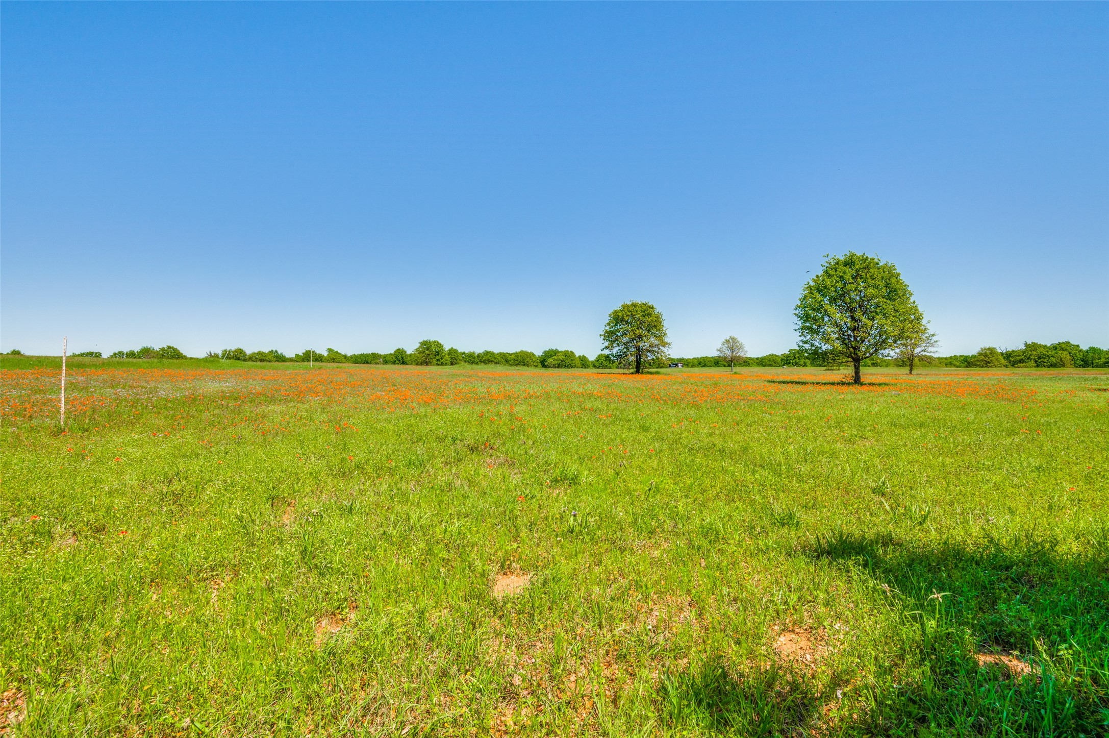 Lot 44 Paradise Cov Streetman TX 75859