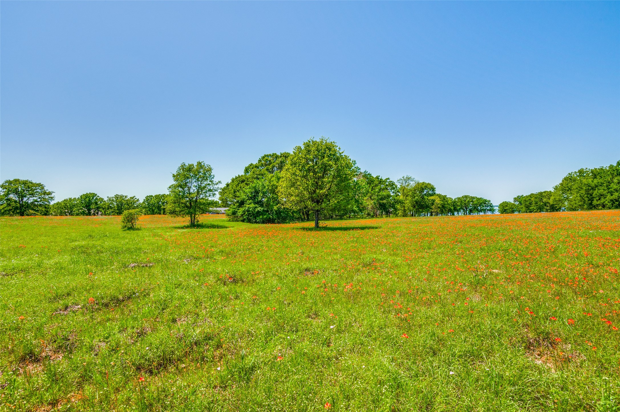 Lot 44 Paradise Cov Streetman TX 75859
