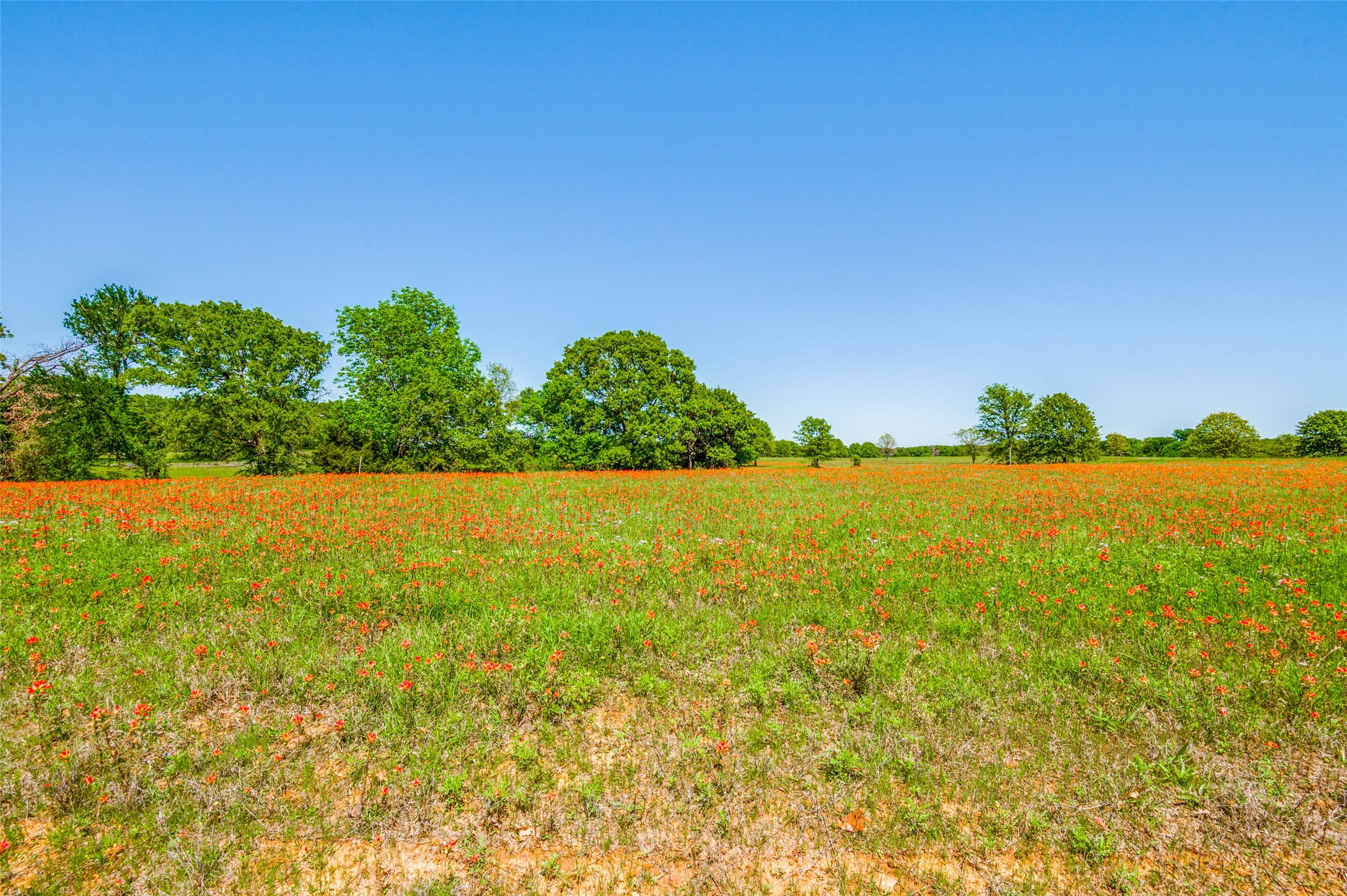Lot 44 Paradise Cov Streetman TX 75859