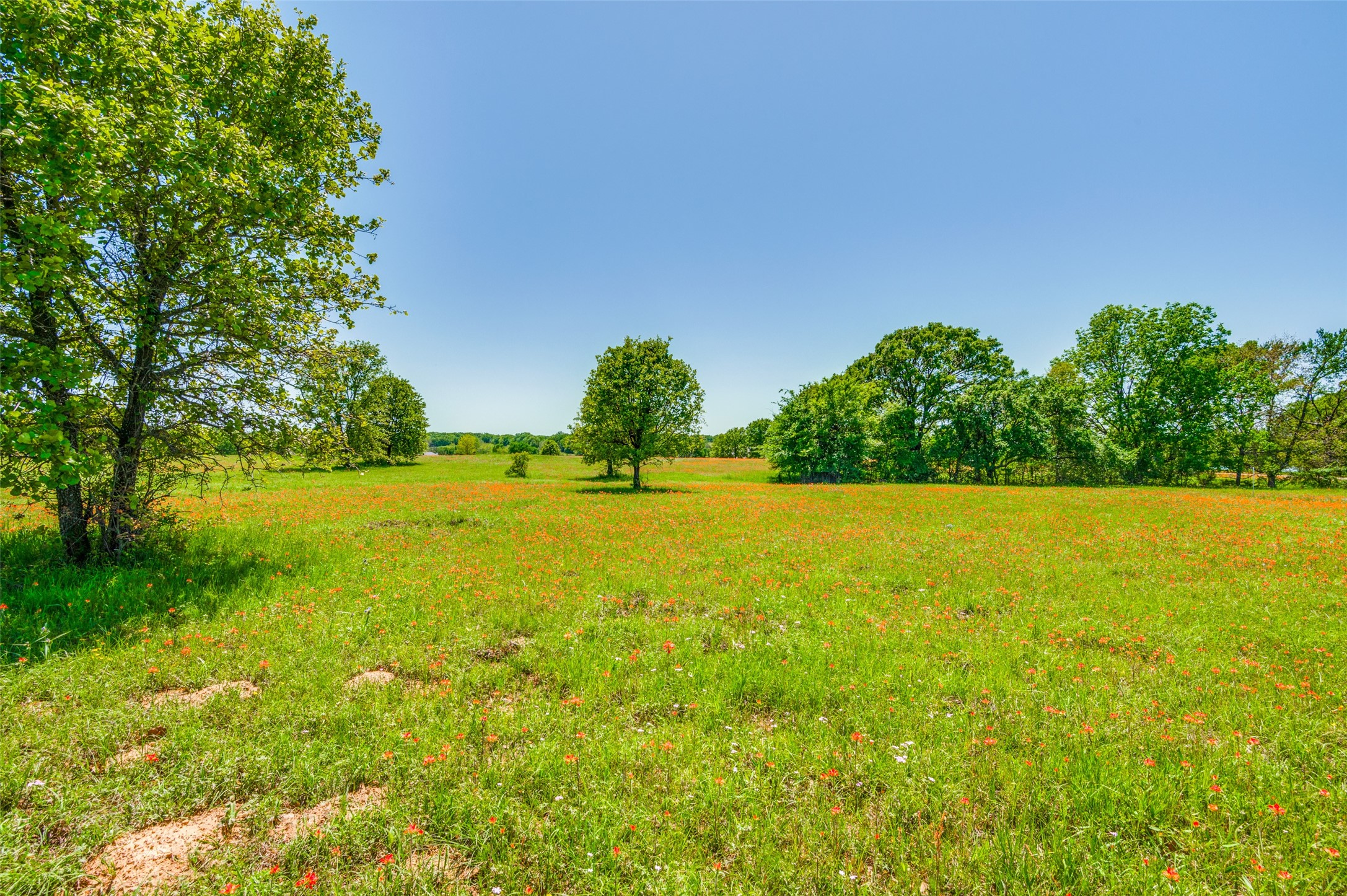 Lot 44 Paradise Cov Streetman TX 75859