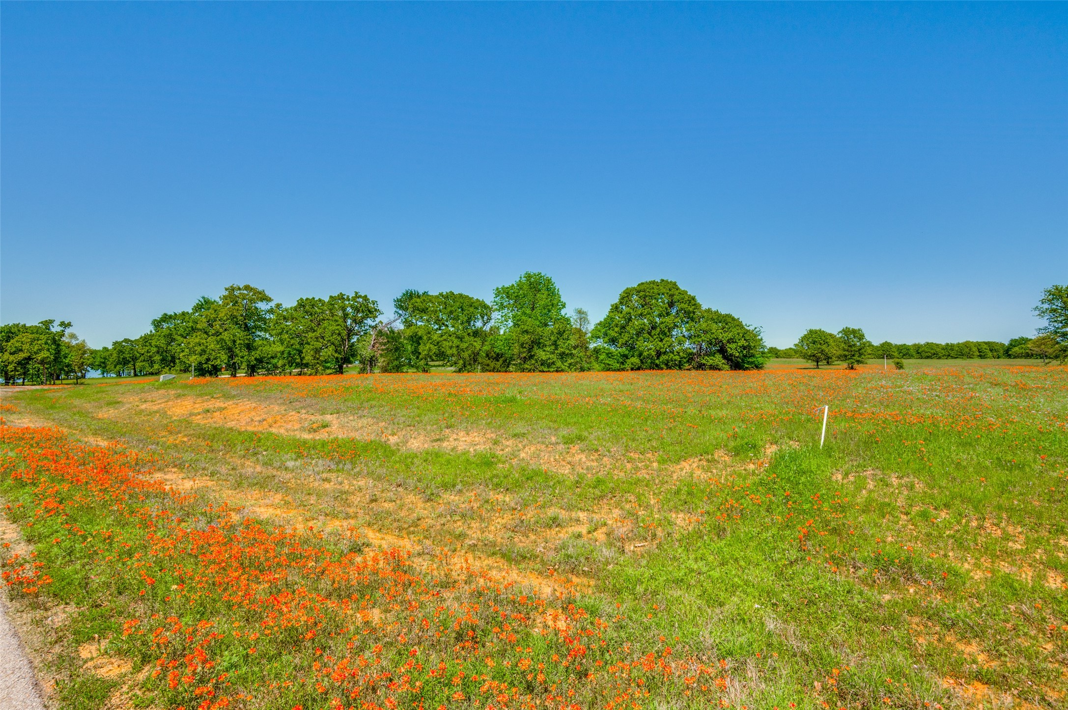 Lot 44 Paradise Cov Streetman TX 75859