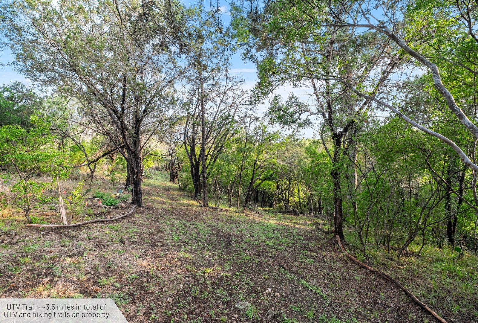 525 Soda Creek Road Spicewood TX 78669