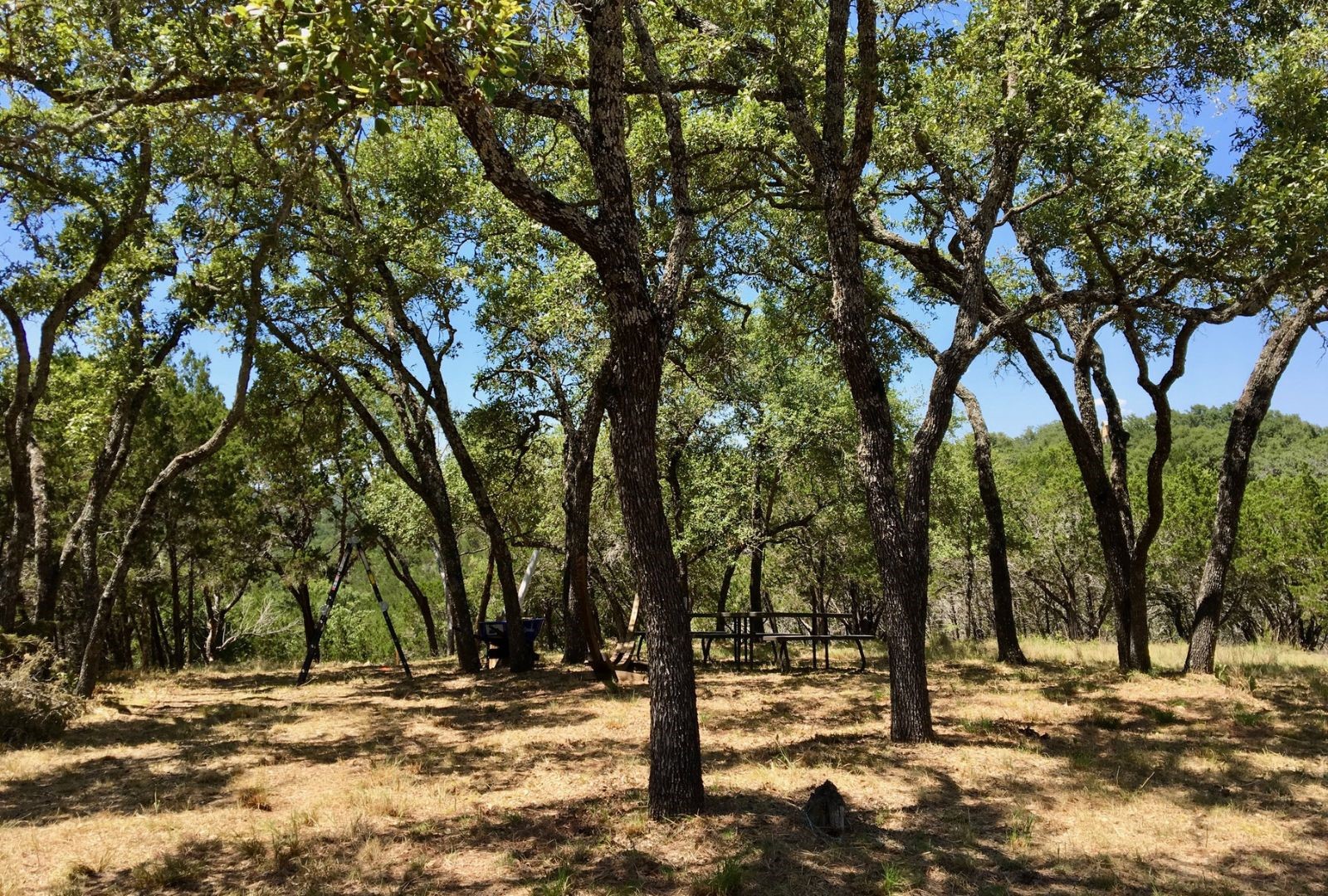 525 Soda Creek Road Spicewood TX 78669