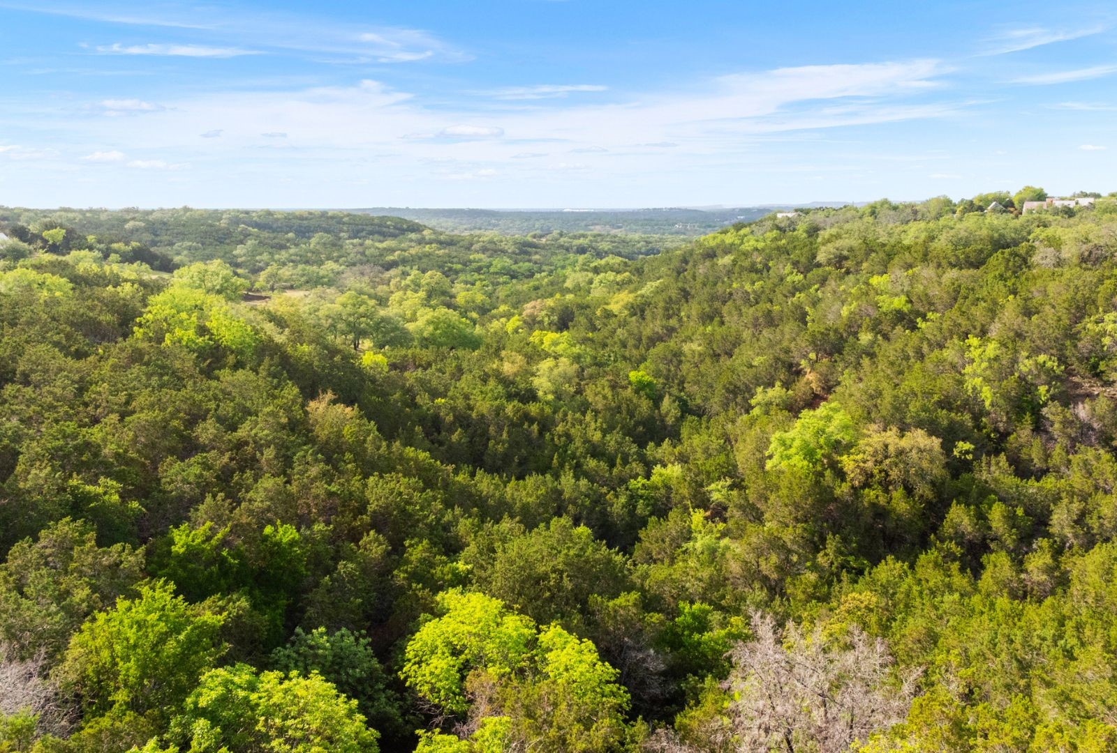 525 Soda Creek Road Spicewood TX 78669