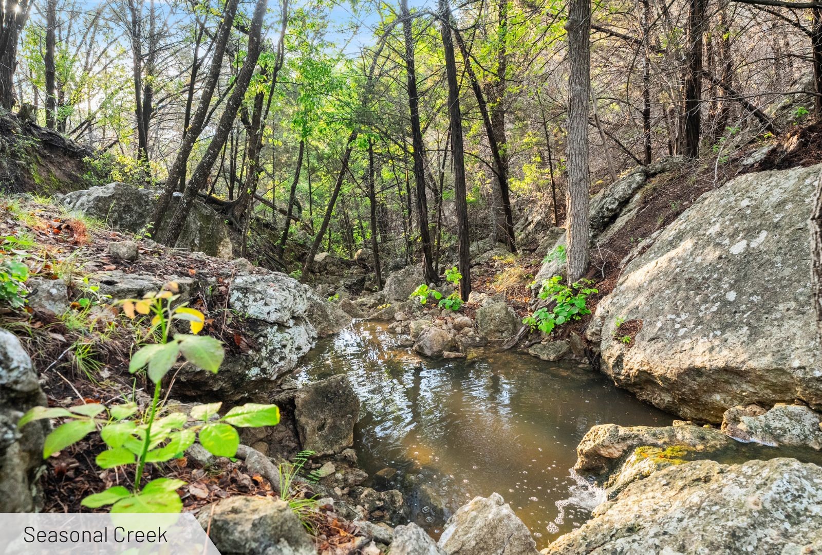 525 Soda Creek Road Spicewood TX 78669