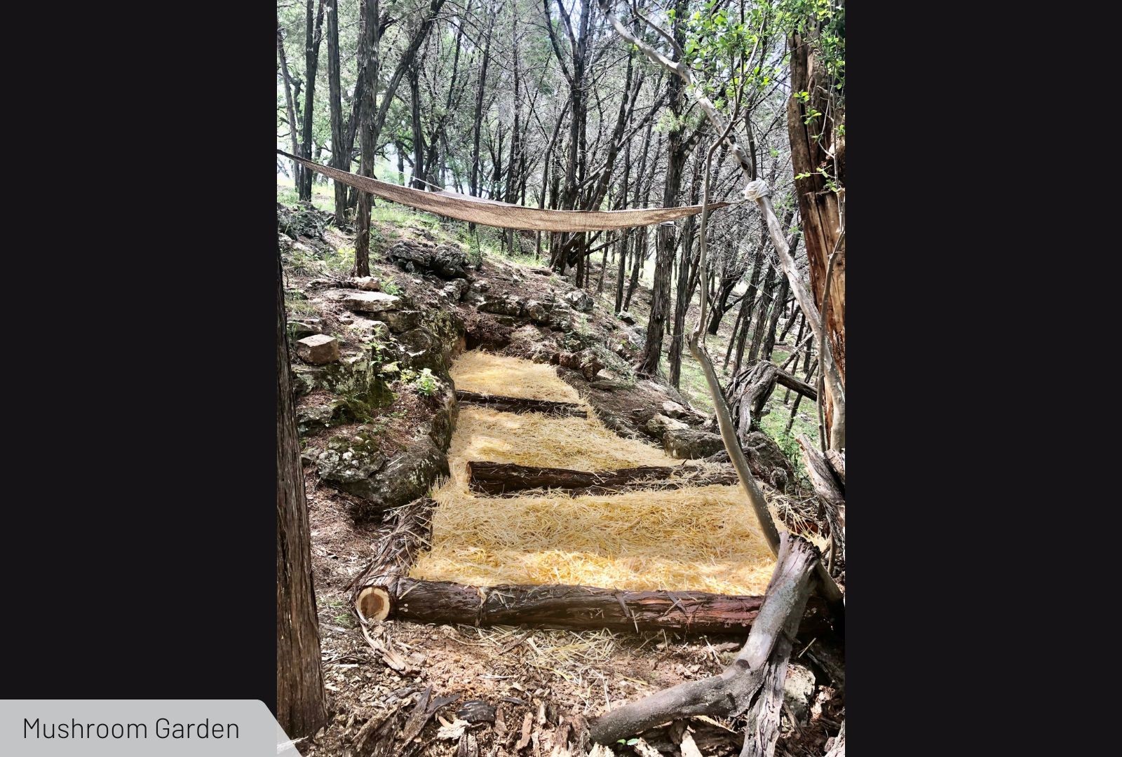 525 Soda Creek Road Spicewood TX 78669