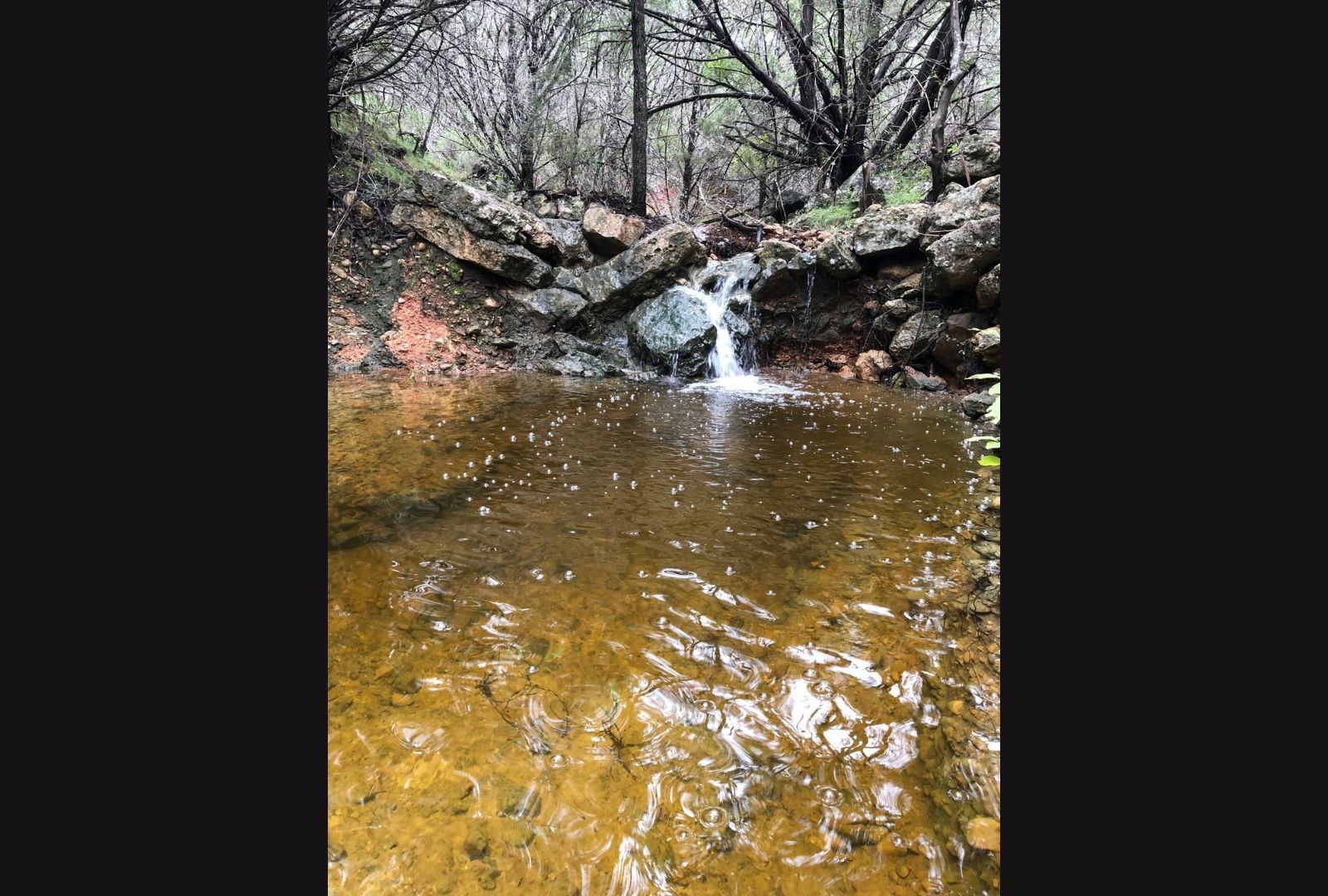 525 Soda Creek Road Spicewood TX 78669