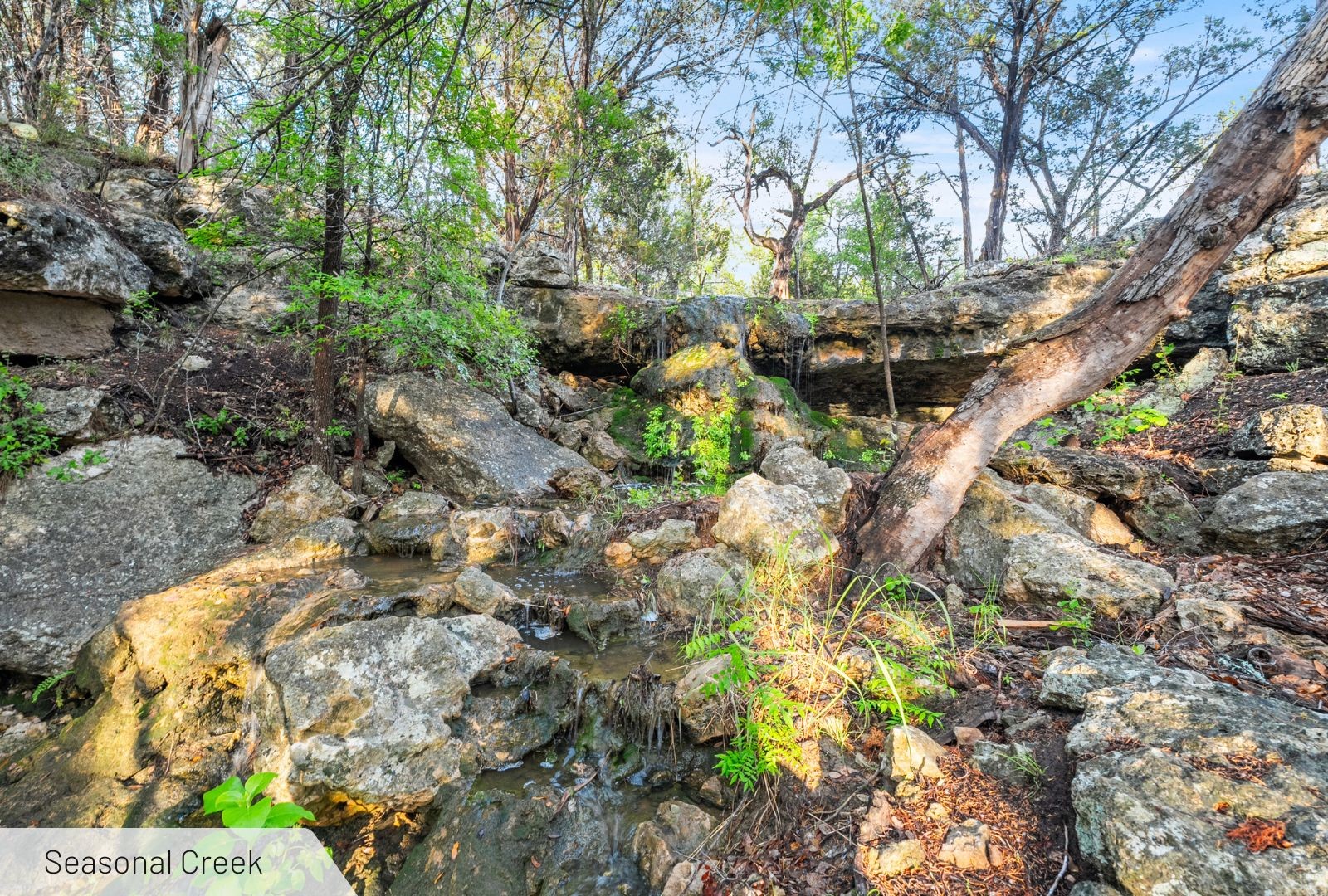 525 Soda Creek Road Spicewood TX 78669