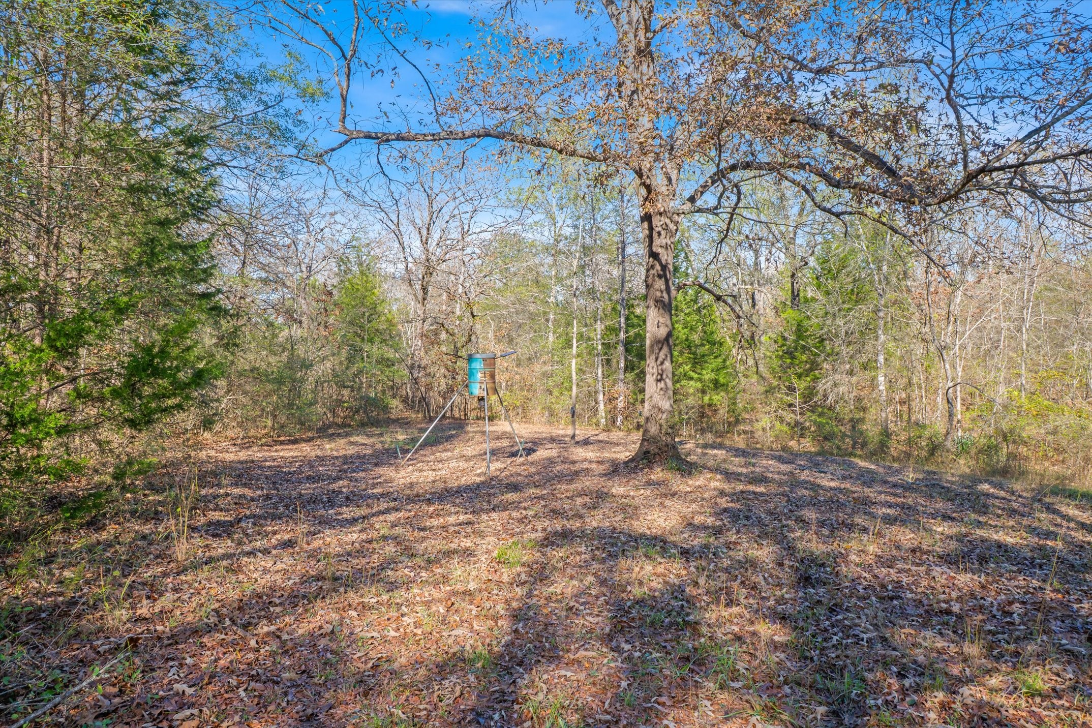 191 Pr 5701 Grand Saline TX 75140
