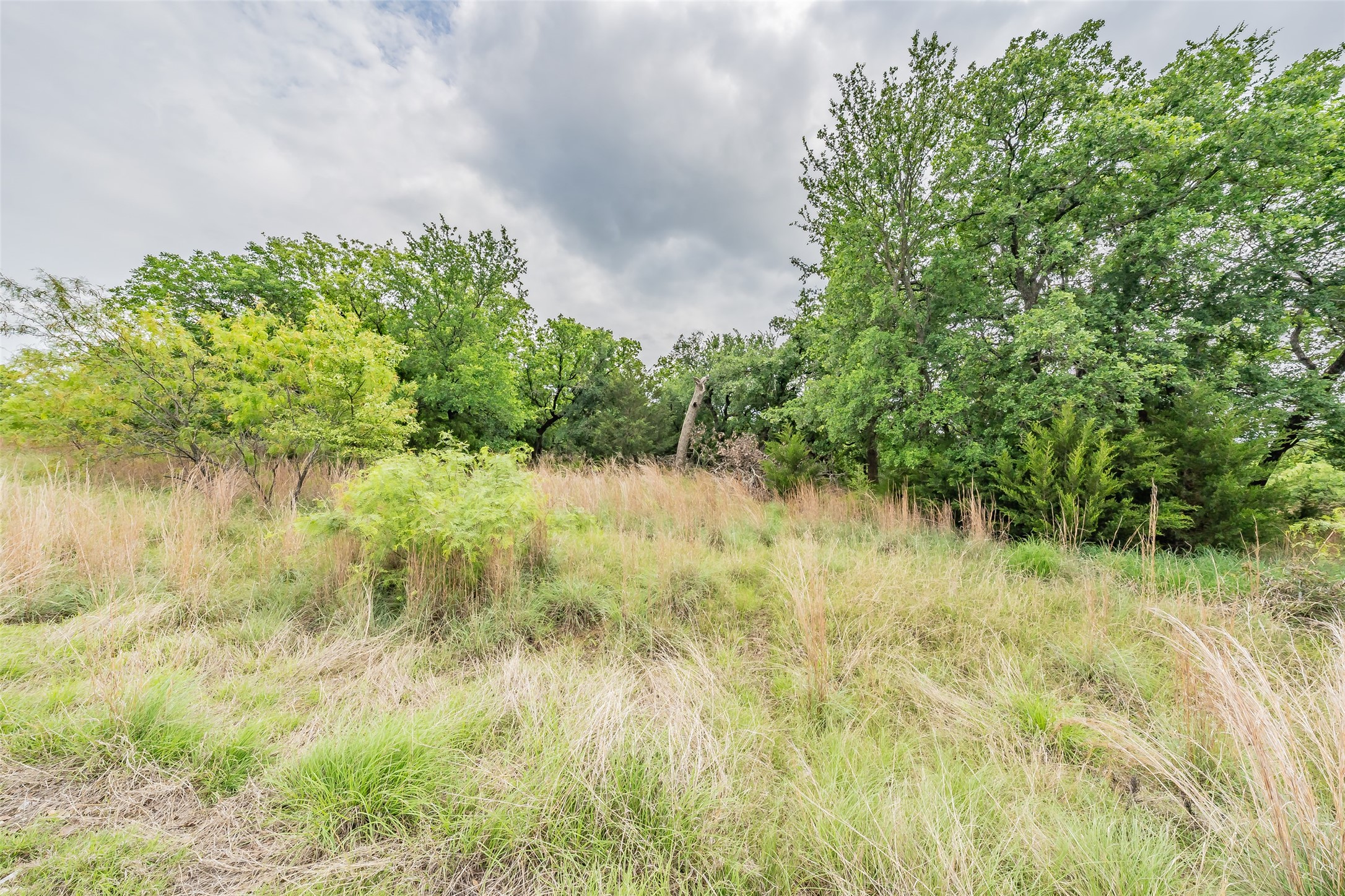 Lot 253 Cote D Azur Drive Chico TX 76431