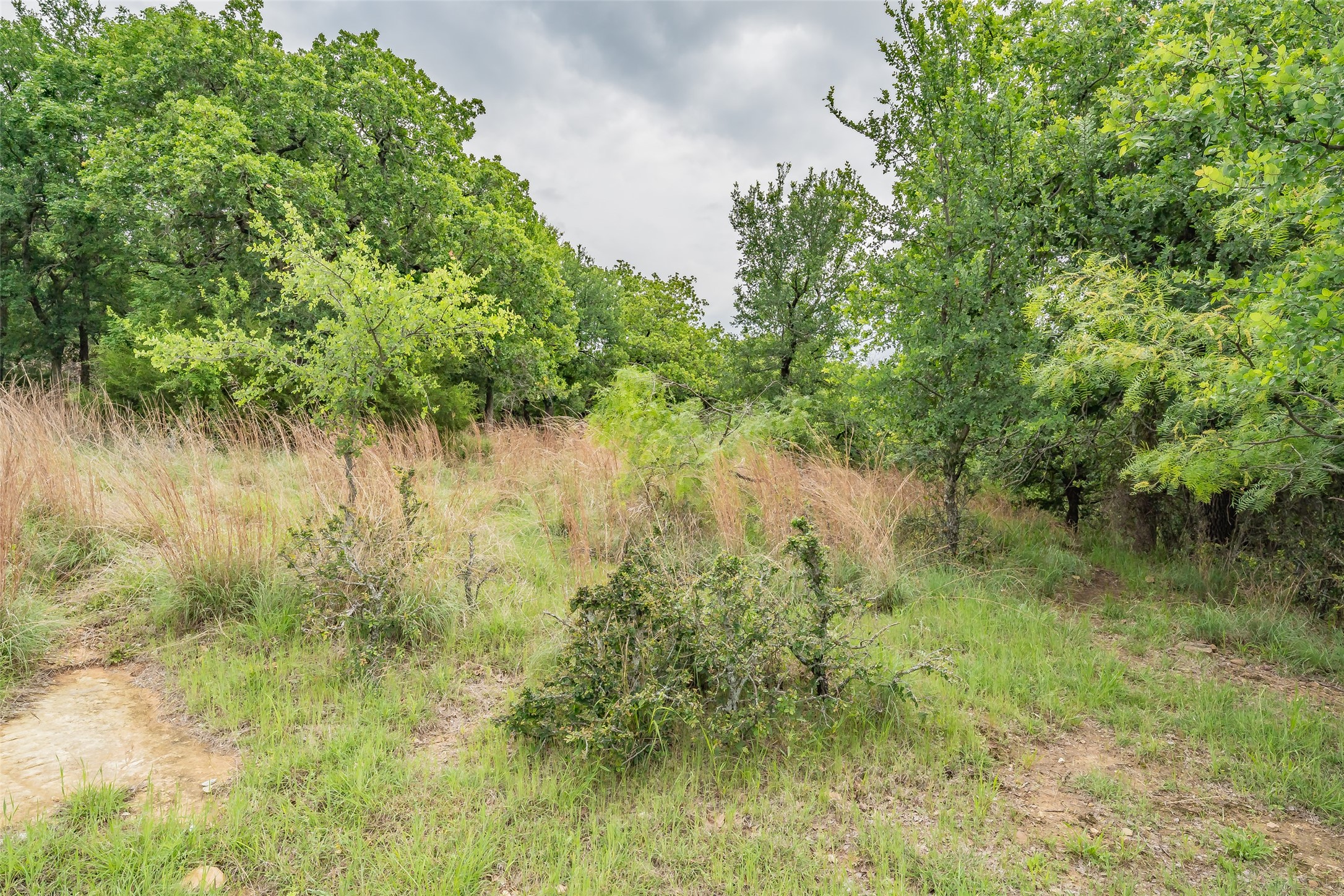 Lot 253 Cote D Azur Drive Chico TX 76431