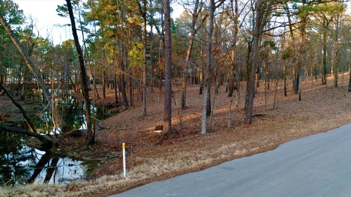 Tbd Hickory Trail Flint TX 75762