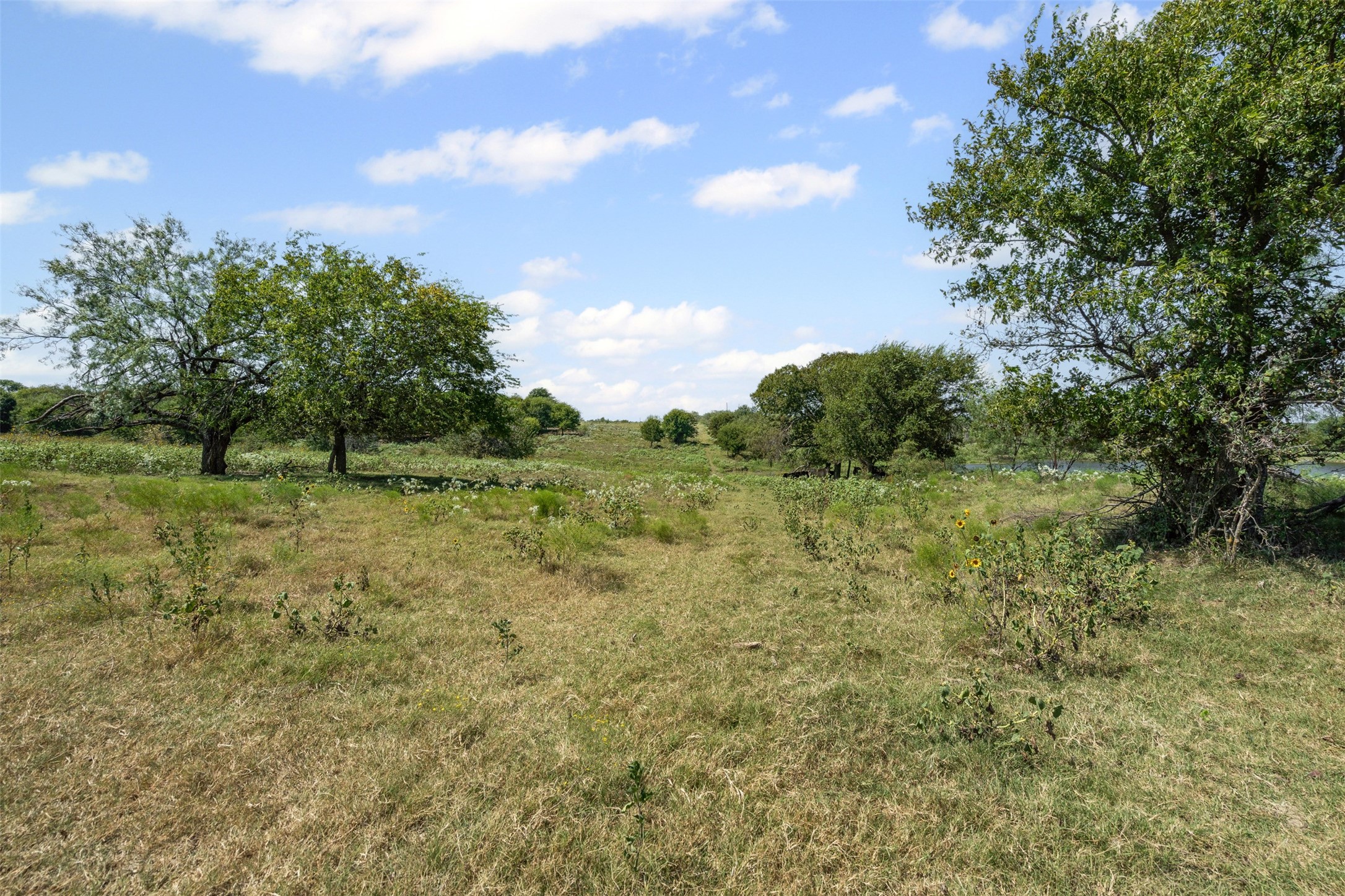 Lot 51 Private Road 451 Grandview TX 76050