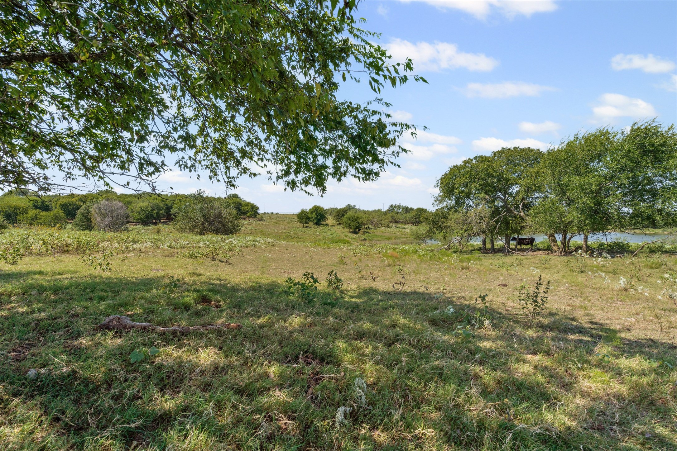 Lot 51 Private Road 451 Grandview TX 76050