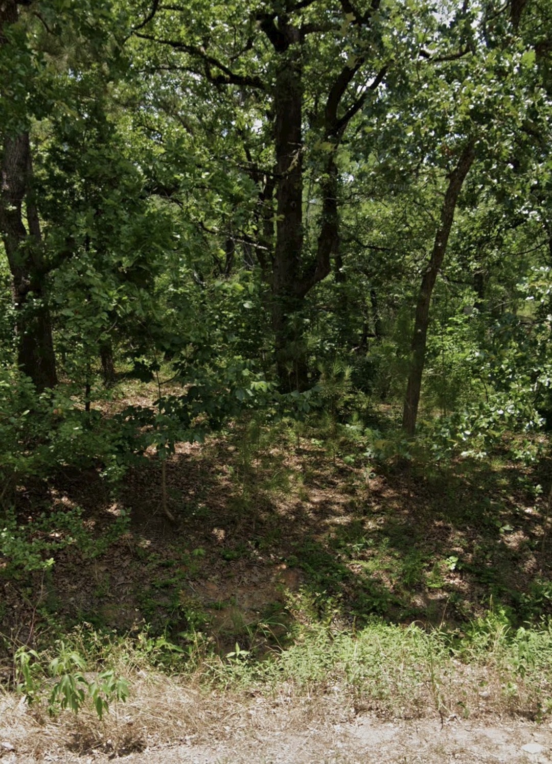 5343 Sam Bass Log Cabin TX 75074
