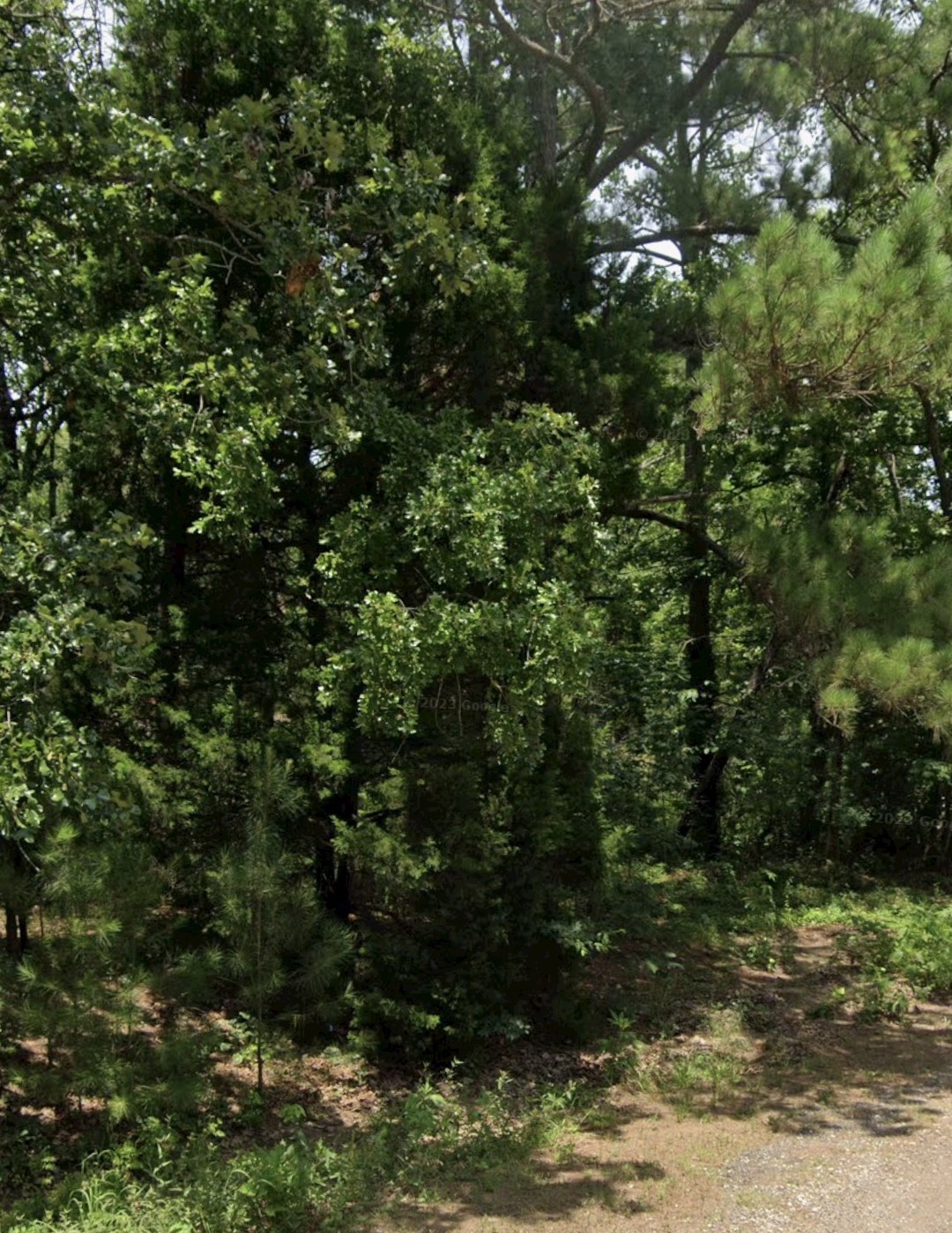 5343 Sam Bass Log Cabin TX 75074
