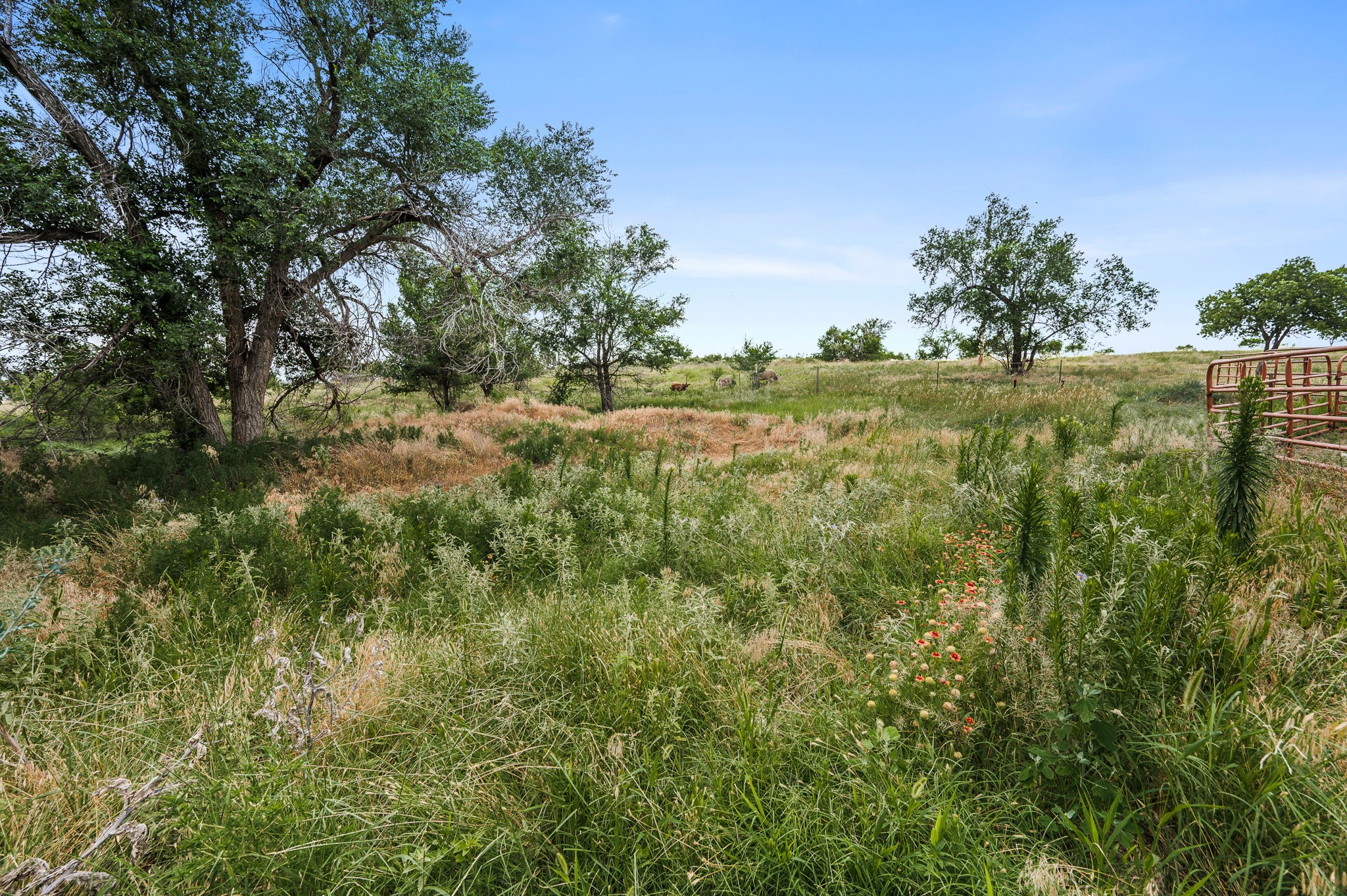 1204 E Cheyenne Canadian TX 79014