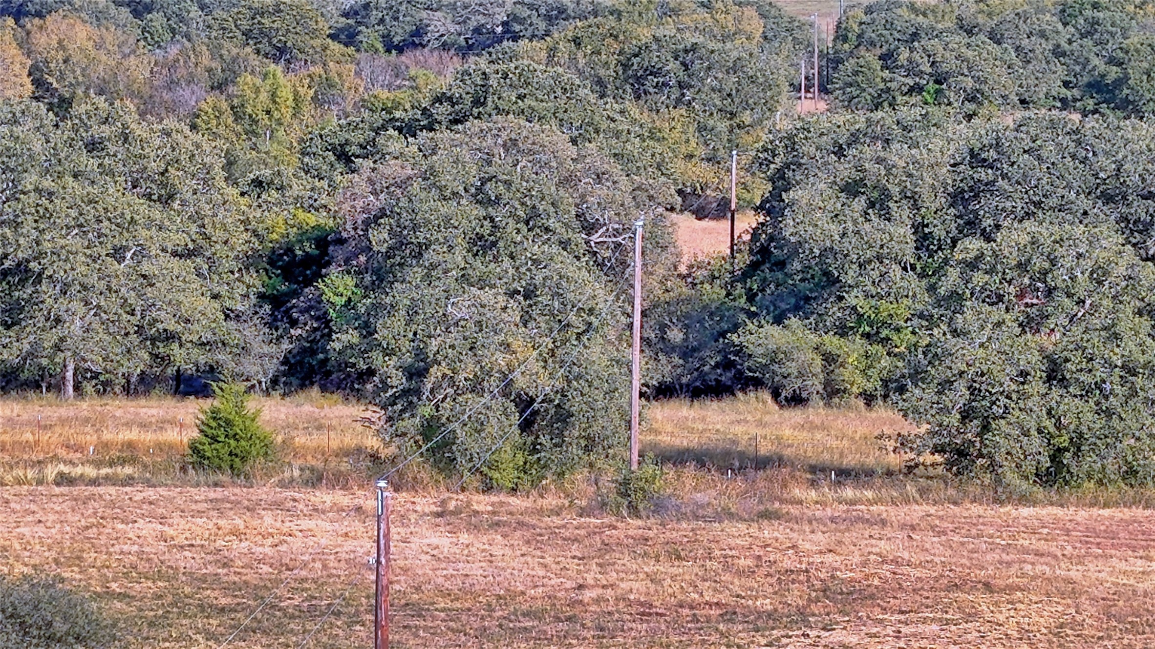 4678 Fenoglio Road Montague TX 76251