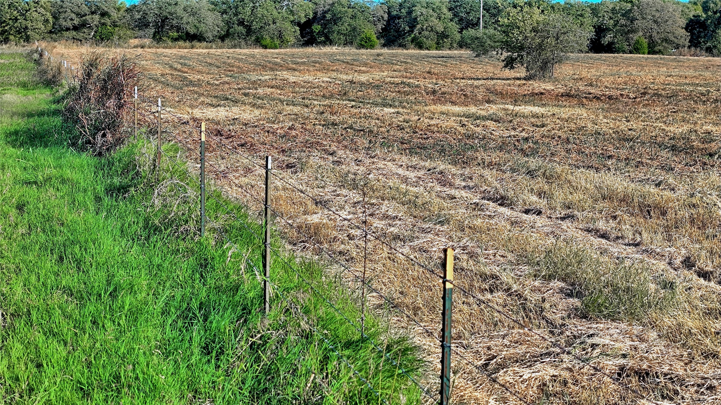 4678 Fenoglio Road Montague TX 76251