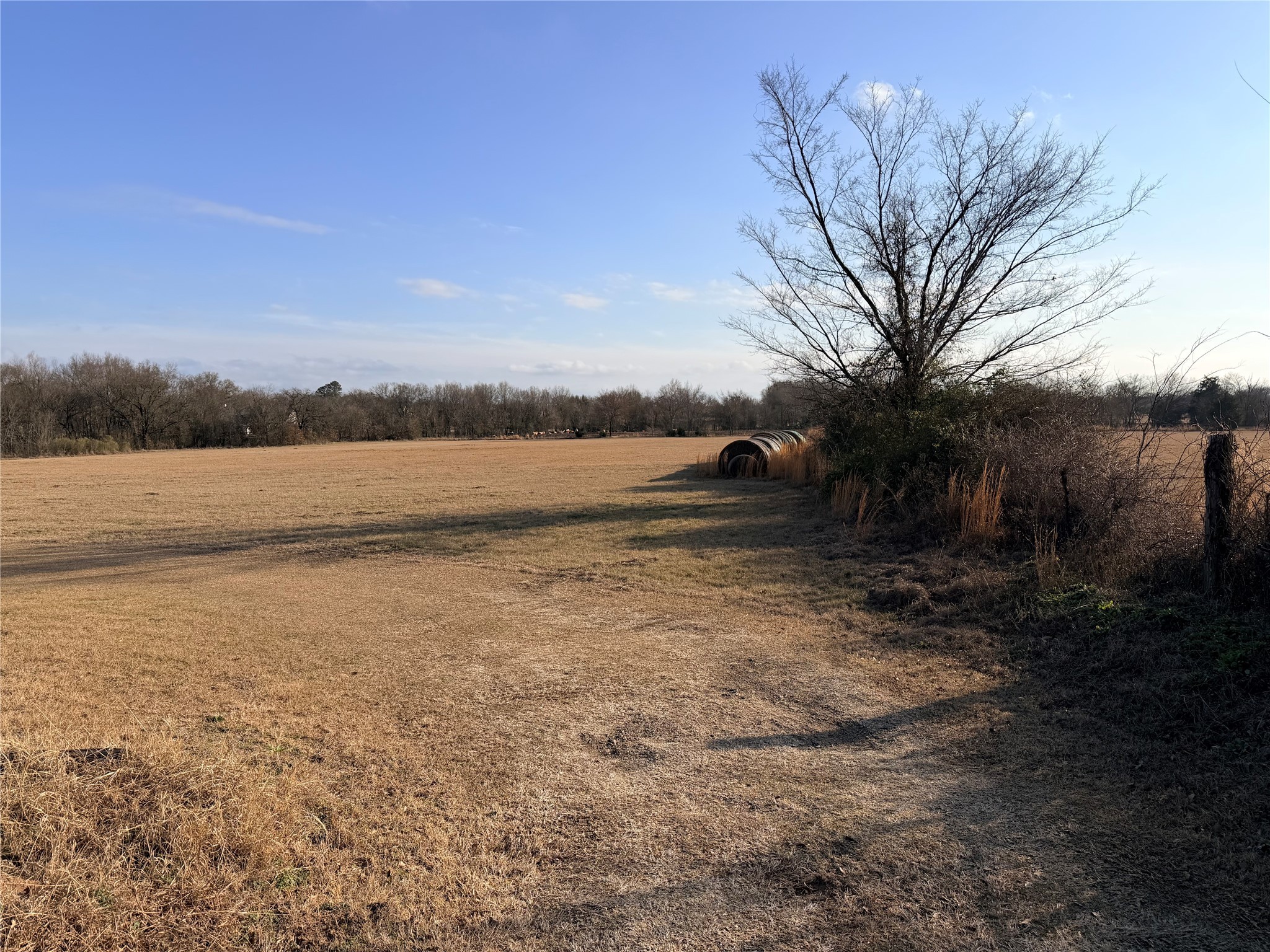 Tbd Fm 1256 Eustace TX 75124